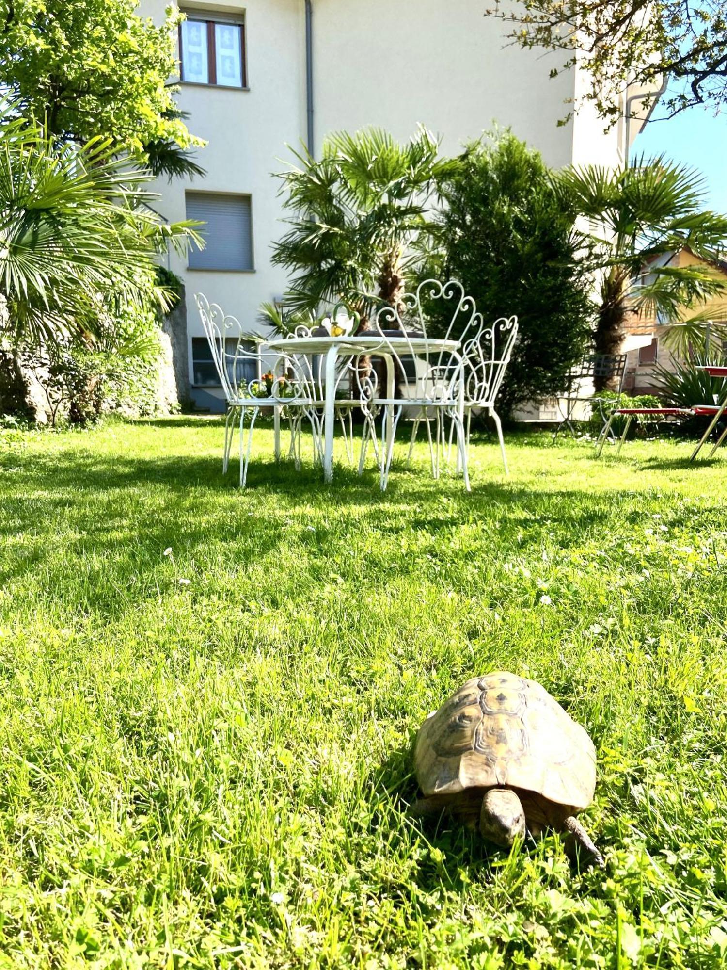 Apartment Attico Lussuoso : Letizia